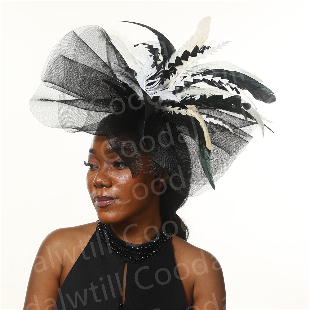 Topi pesona Derby hitam dan pu - Women'S Fashion Kentucky Derby ulasan dan harga